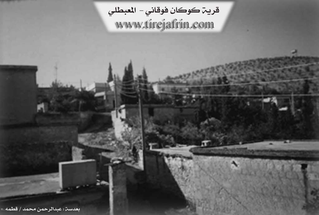 Photo of Kokanê Jorin